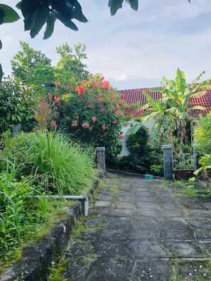 Pemandangan taman