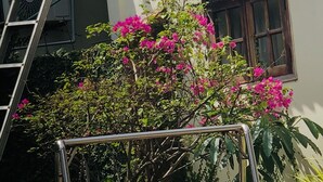 Unclassified image, 2 of 25, button - SWEETHOME BUNGALOWS (Phu Quoc)