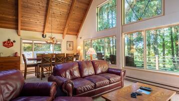 Televisión, chimenea, reproductor de DVD y libros