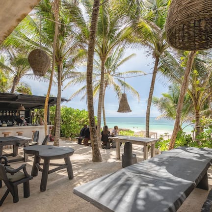 An outdoor seating area with tables and chairs, overlooking a beach and palm trees.