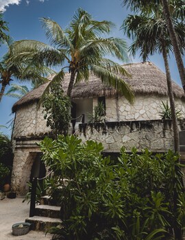 Interior at Nest Tulum