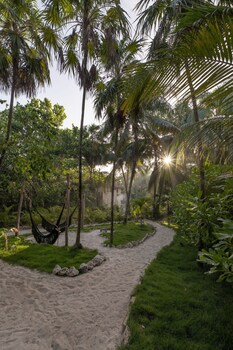 Interior at Nest Tulum