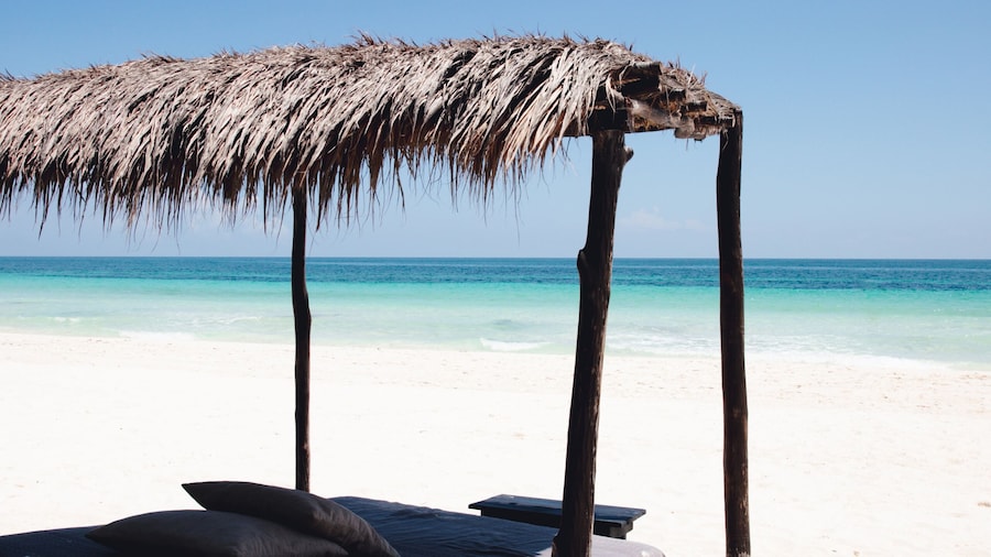 Nest Tulum