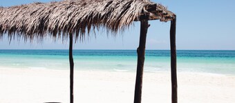 Nest Tulum