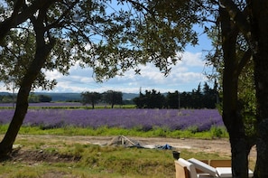 Vue depuis l’hébergement