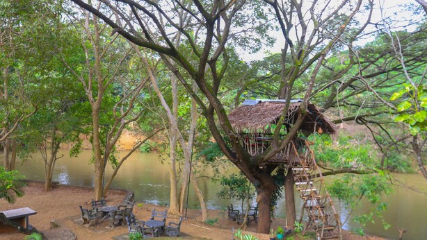 Ein Baumhaus mit einem Reetdach, eingebettet in eine natürliche Umgebung mit Teich, Picknicktischen und einer Holz-Hängebrücke.