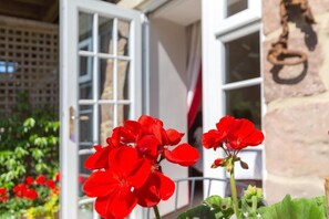 A building with a white door and windows, and red flowers in the foreground. - Birdsong Cottage B&B (Chathill)