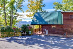 Un chalet rustique avec un toit en métal, entouré d’arbres et offrant une vue sur la montagne.