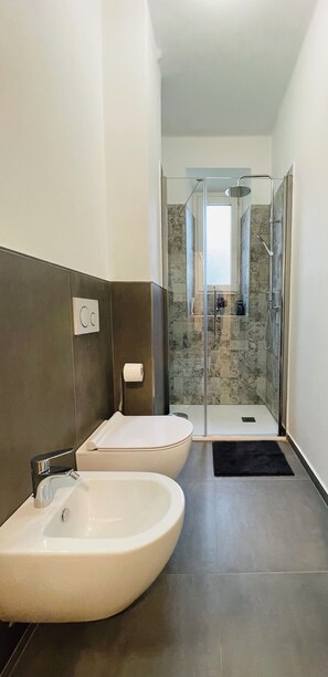 Shower, hair dryer, bidet, towels