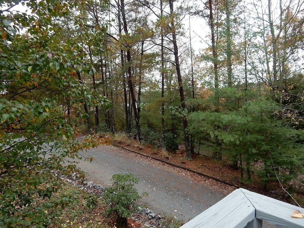 A forested area with a gravel path and a wooden deck.