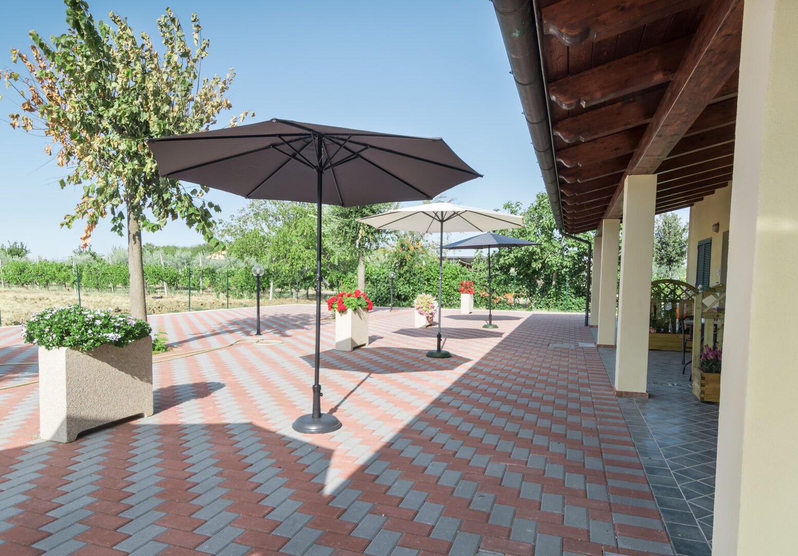 Brand new holiday home with pool - Il Rifugio di San Francesco