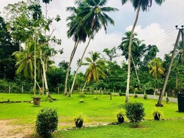 A lush green landscape with tall palm trees and a clear sky.