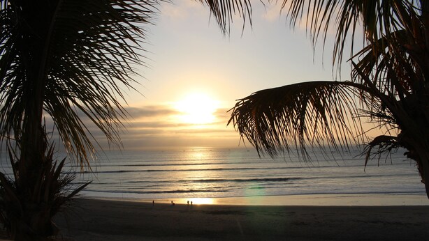 A sunset over a beach with palm trees framing the view. - Blanca Rosa's Place Vacation Rentals (Pacasmayo)