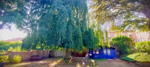A courtyard with a large tree, a blue building, and a stone wall. - Chez Martine et Philippe (Saint-Didier-en-Velay)