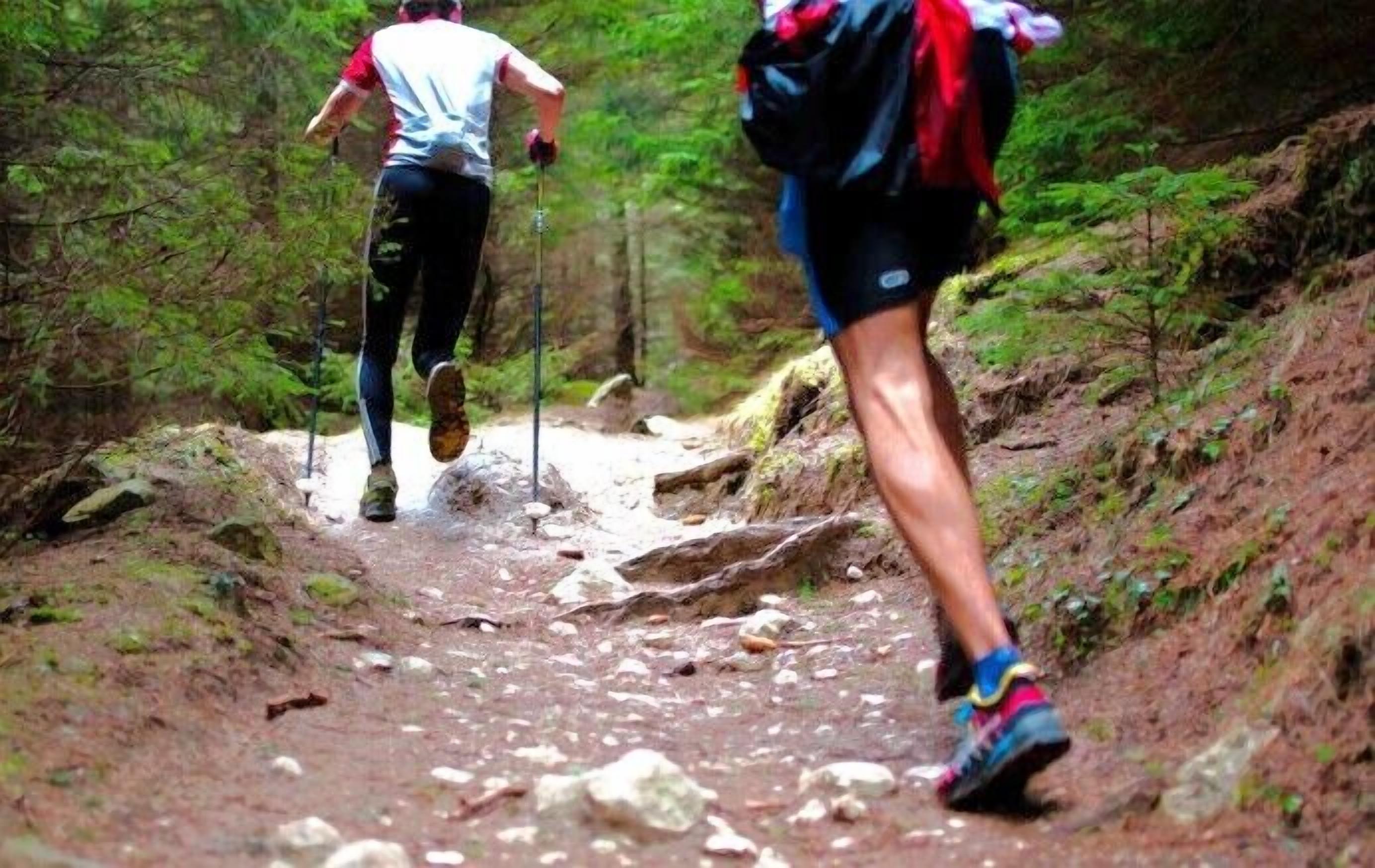 Two people hiking on a rocky trail surrounded by greenery.