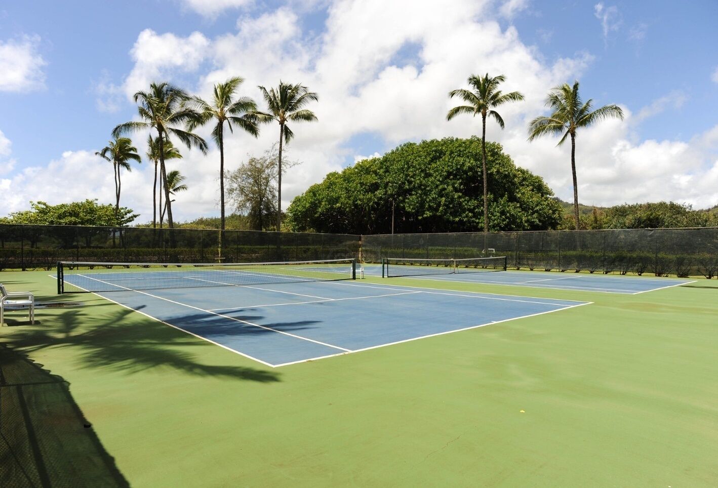 A tennis court with a net, surrounded by palm trees and a green fence.