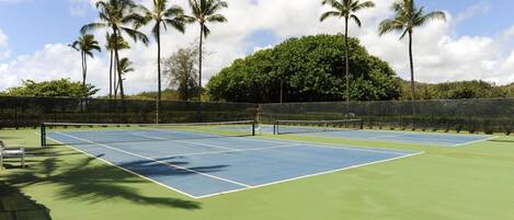 A tennis court with a net, surrounded by palm trees and a green fence.