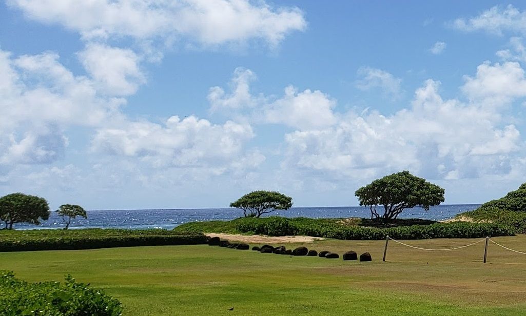 Blick vom Lanai mit einer Rasenfläche, Bäumen und dem Meer im Hintergrund.