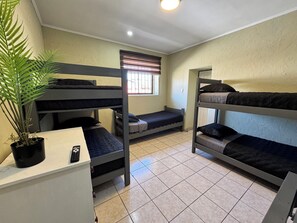 Iron/ironing board, free WiFi, bed sheets, wheelchair access