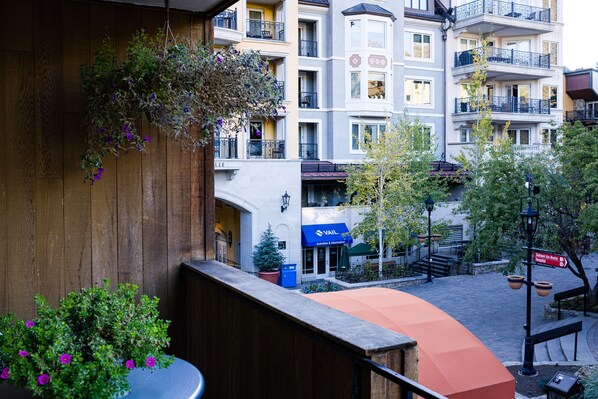 Property grounds - Lionshead Center / Ski-in Ski-out (Vail)