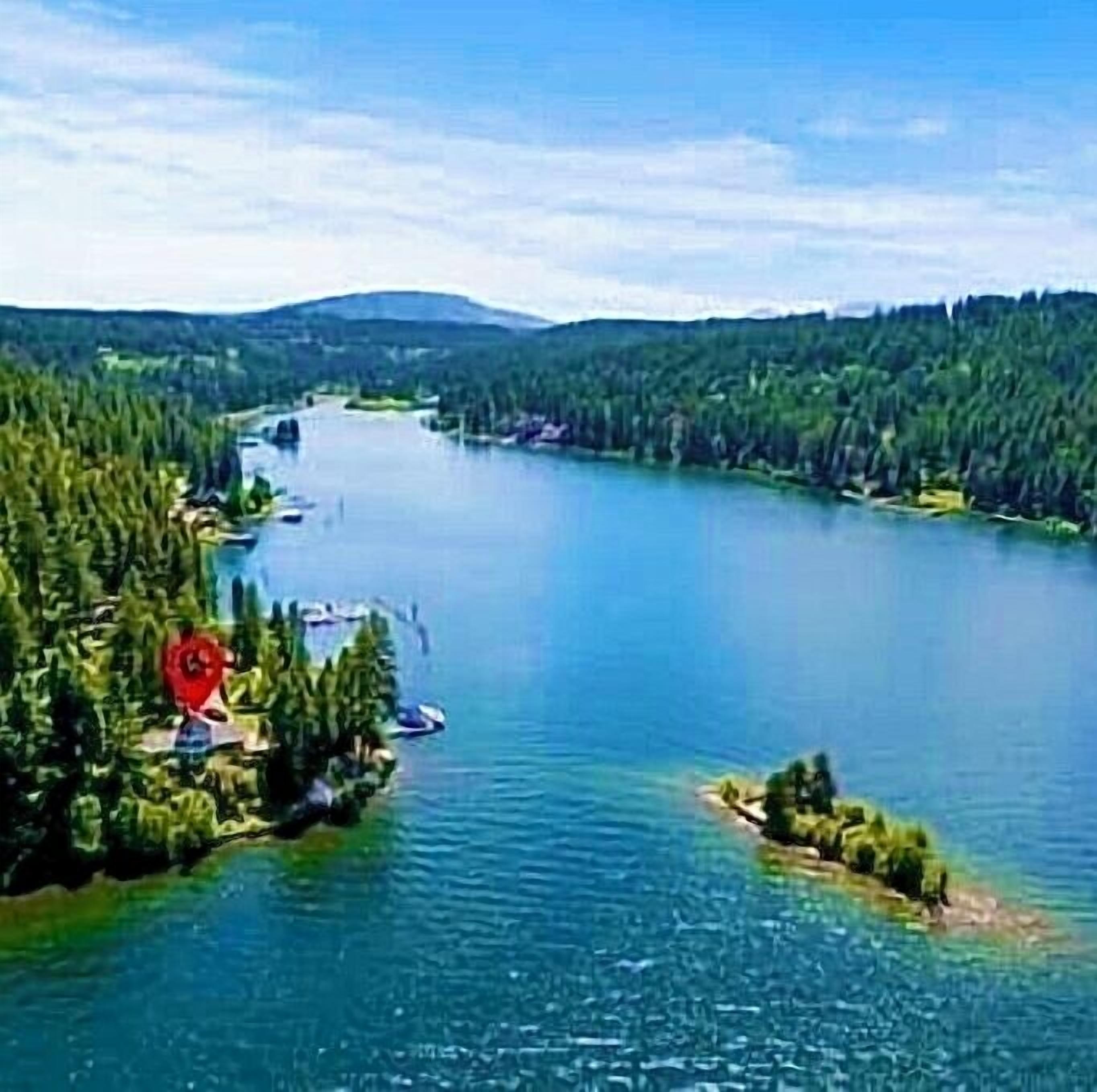A river surrounded by dense forest and a few buildings.