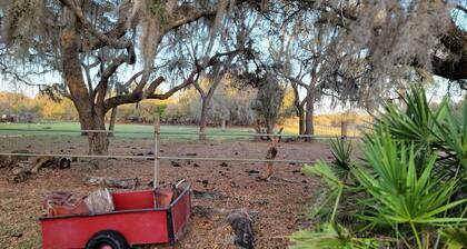 10 Acres Farm House