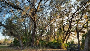 A park with mature trees, a bench, and a grassy area. - 10 Acres  Farm House (Frostproof)