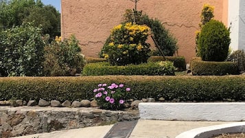 Recepción