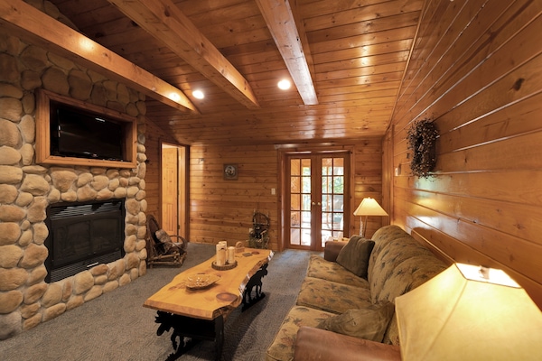 Smart TV, fireplace, books