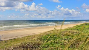 Une plage avec un rivage sablonneux et des dunes herbeuses.