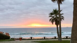 A coastal view with a sunset, palm trees, and a pathway leading to the beach.