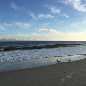 Beach nearby, sun-loungers