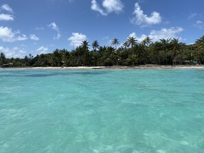 Uma praia com águas turquesa cristalinas, palmeiras e uma orla arenosa.