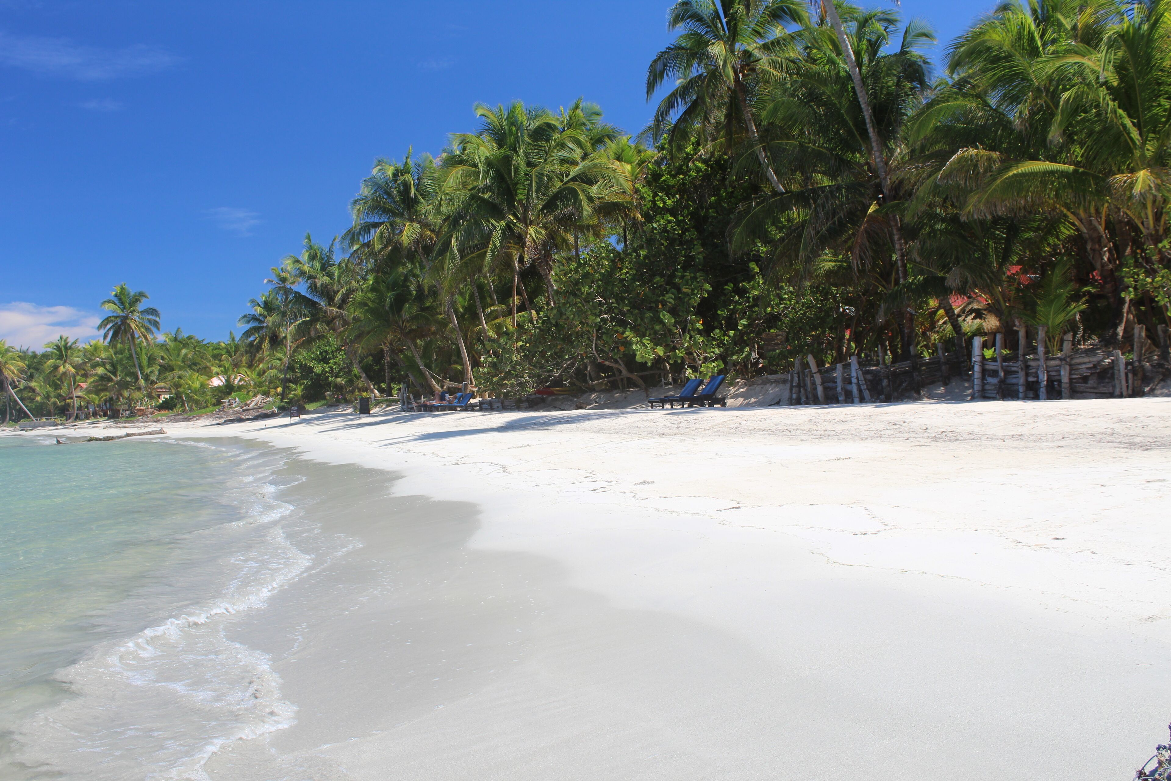 A beach with white sand, clear blue water, and palm trees.