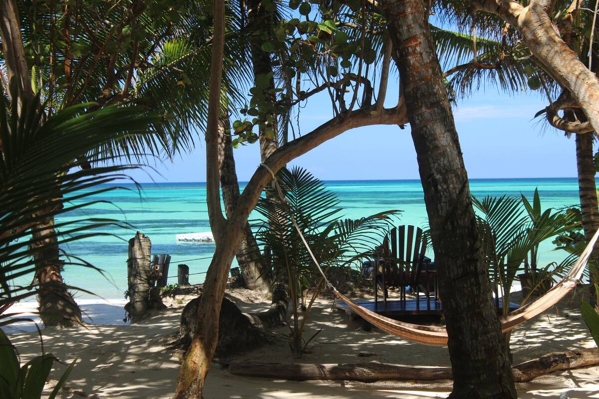 Vue sur la plage/l’océan