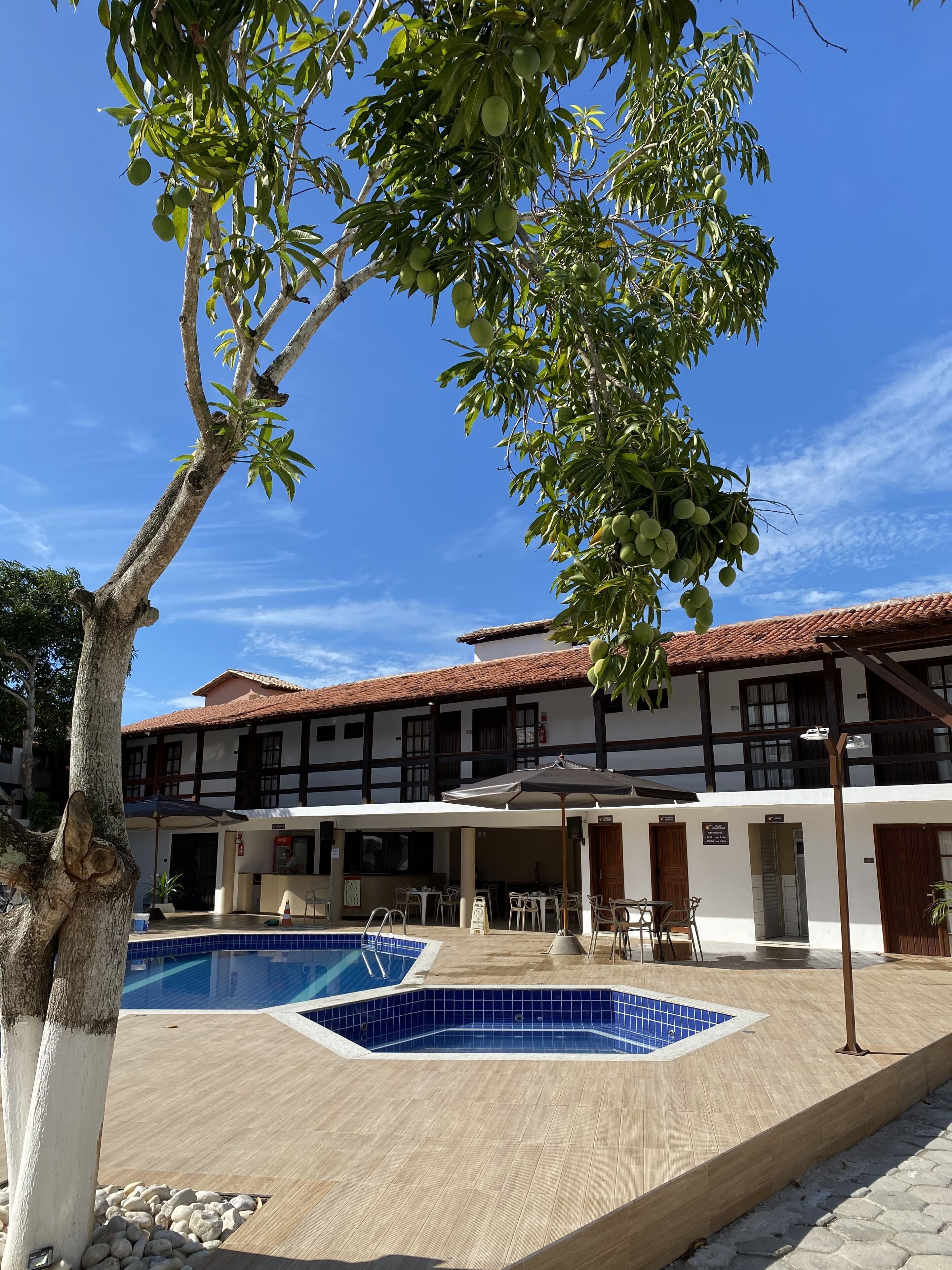 A pool area with a tiled deck, a building with a tiled roof, and a tree with green leaves.