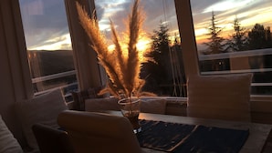A room with a large window, a potted plant, and a view of trees and a sunset.