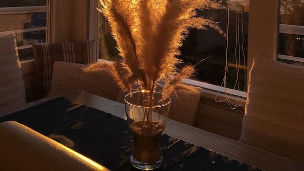 A room with a large window, a vase with pampas grass, and a view of the sunset.