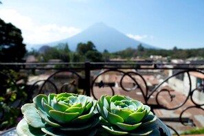 A balcony with two potted succulents and a view of a mountain.
