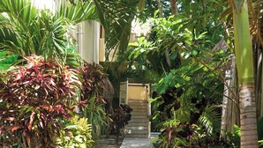 A pathway flanked by lush tropical plants and palm trees, leading to a building entrance. - Hotel & Suites Oasis Bacalar (Bacalar)