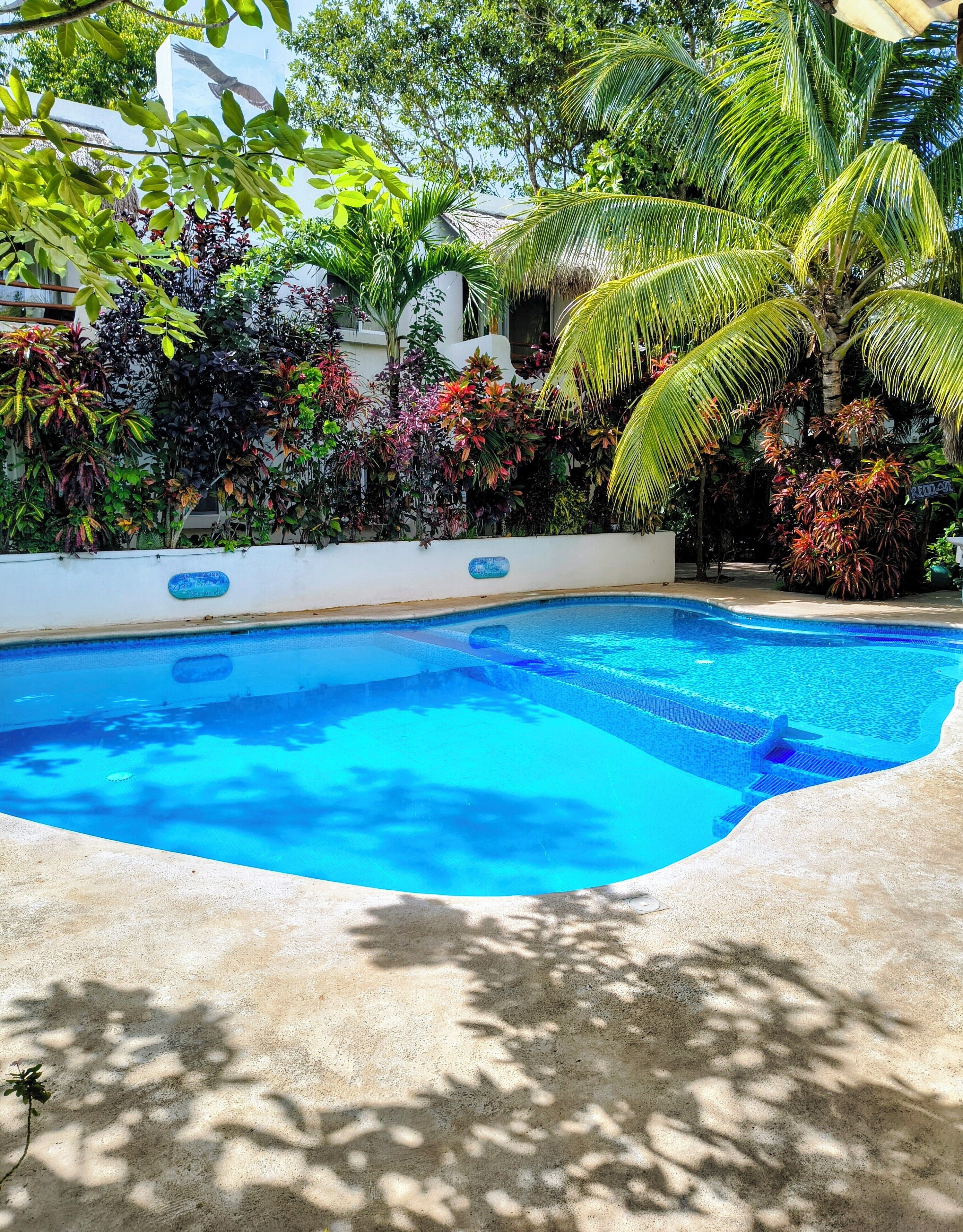 Foto - Hotel & Suites Oasis Bacalar