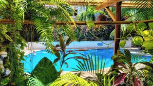 A pool surrounded by lush tropical plants and a wooden pergola. - Hotel & Suites Oasis Bacalar (Bacalar)