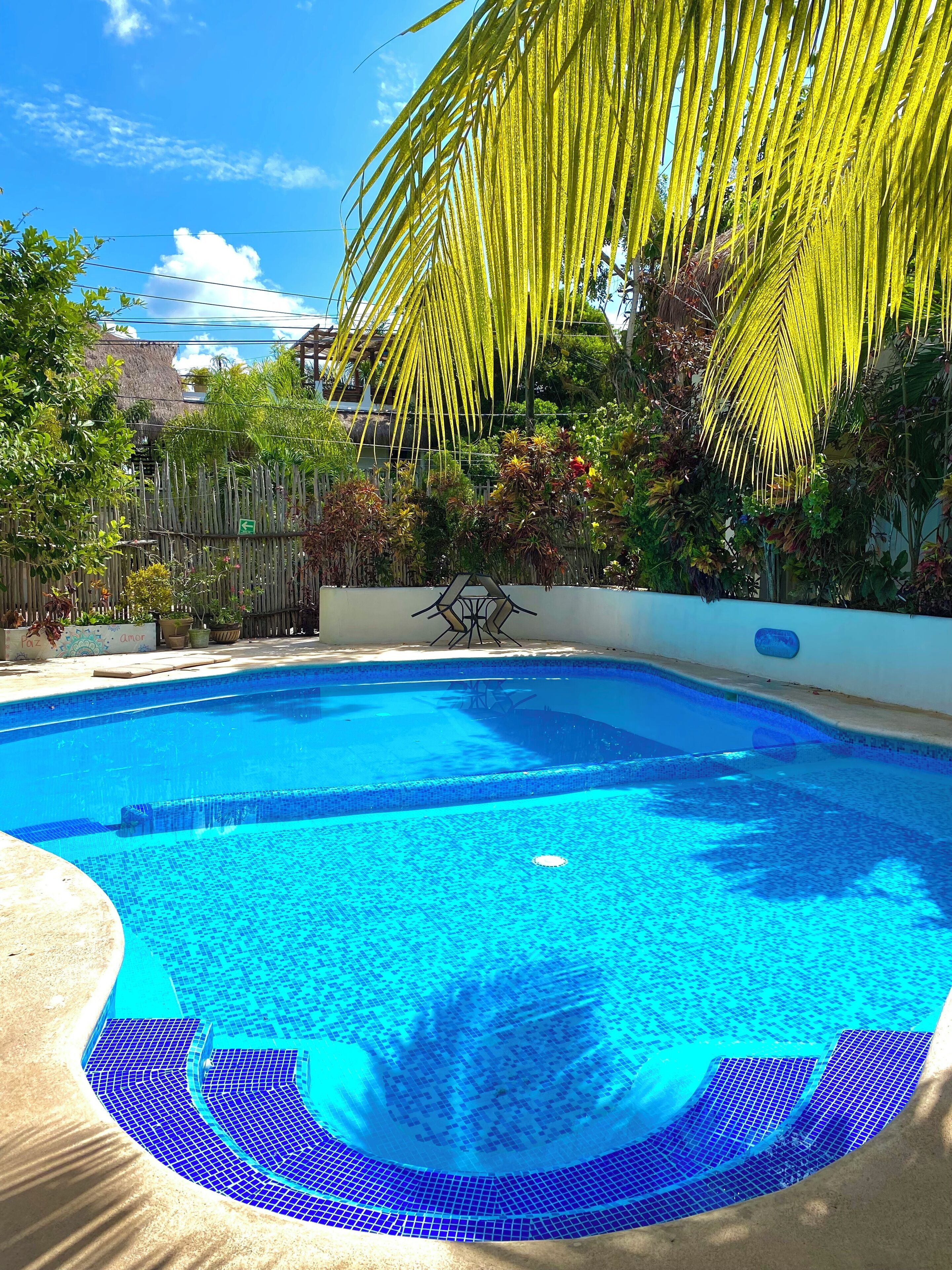 Foto - Hotel & Suites Oasis Bacalar