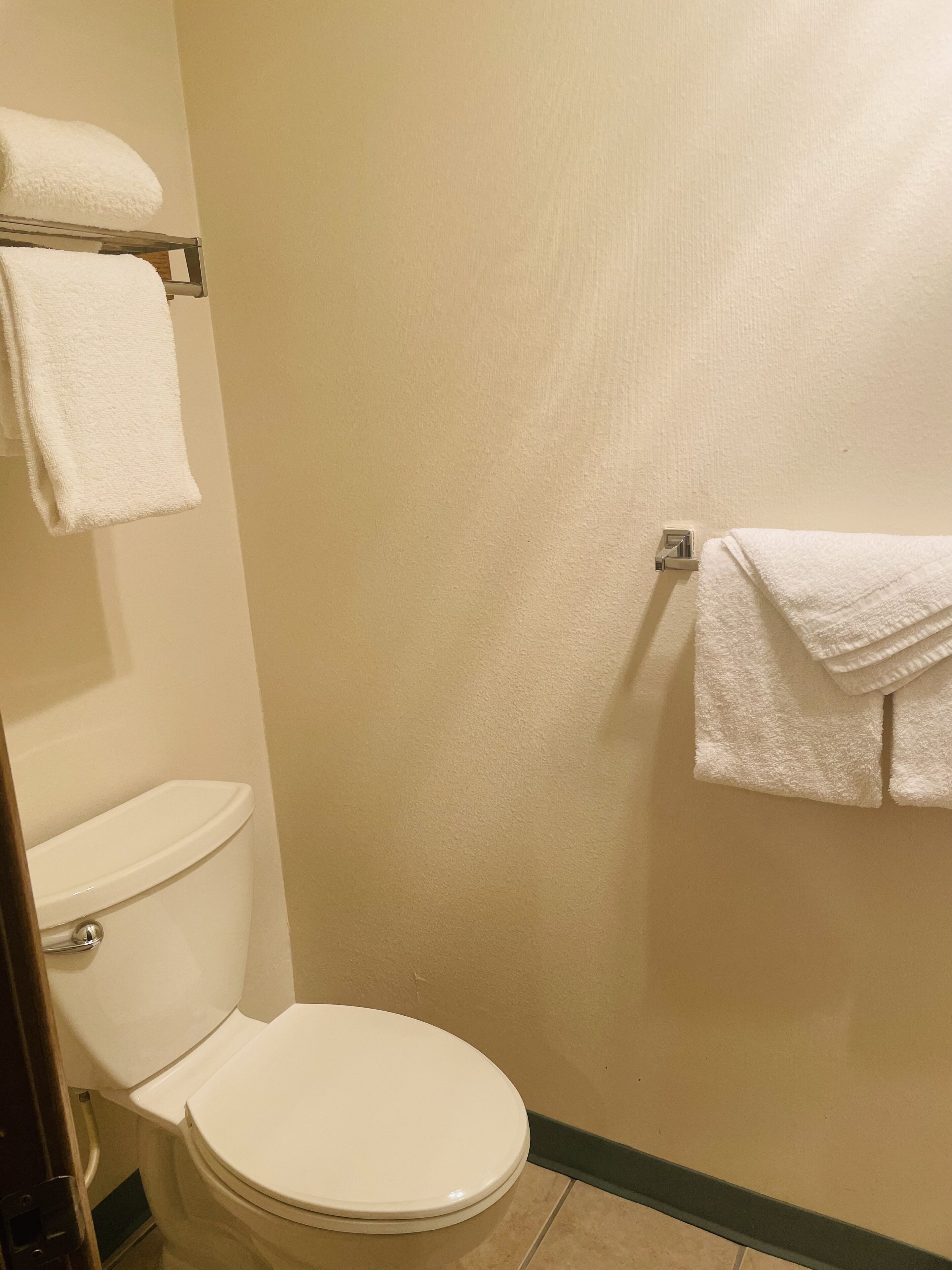 A bathroom with a white toilet, a towel rack with two towels, and a plain wall.