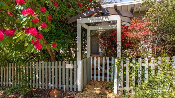 A garden with a white picket fence, a pergola, and blooming red flowers. - Crabapple Southside Mountain Cottage Pet Friendly (WENTWORTH FALLS)