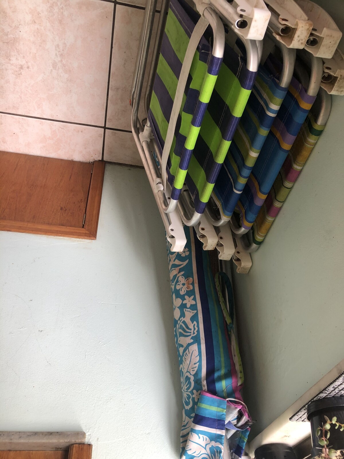 Imagen de perfil del propietario o de la propietaria