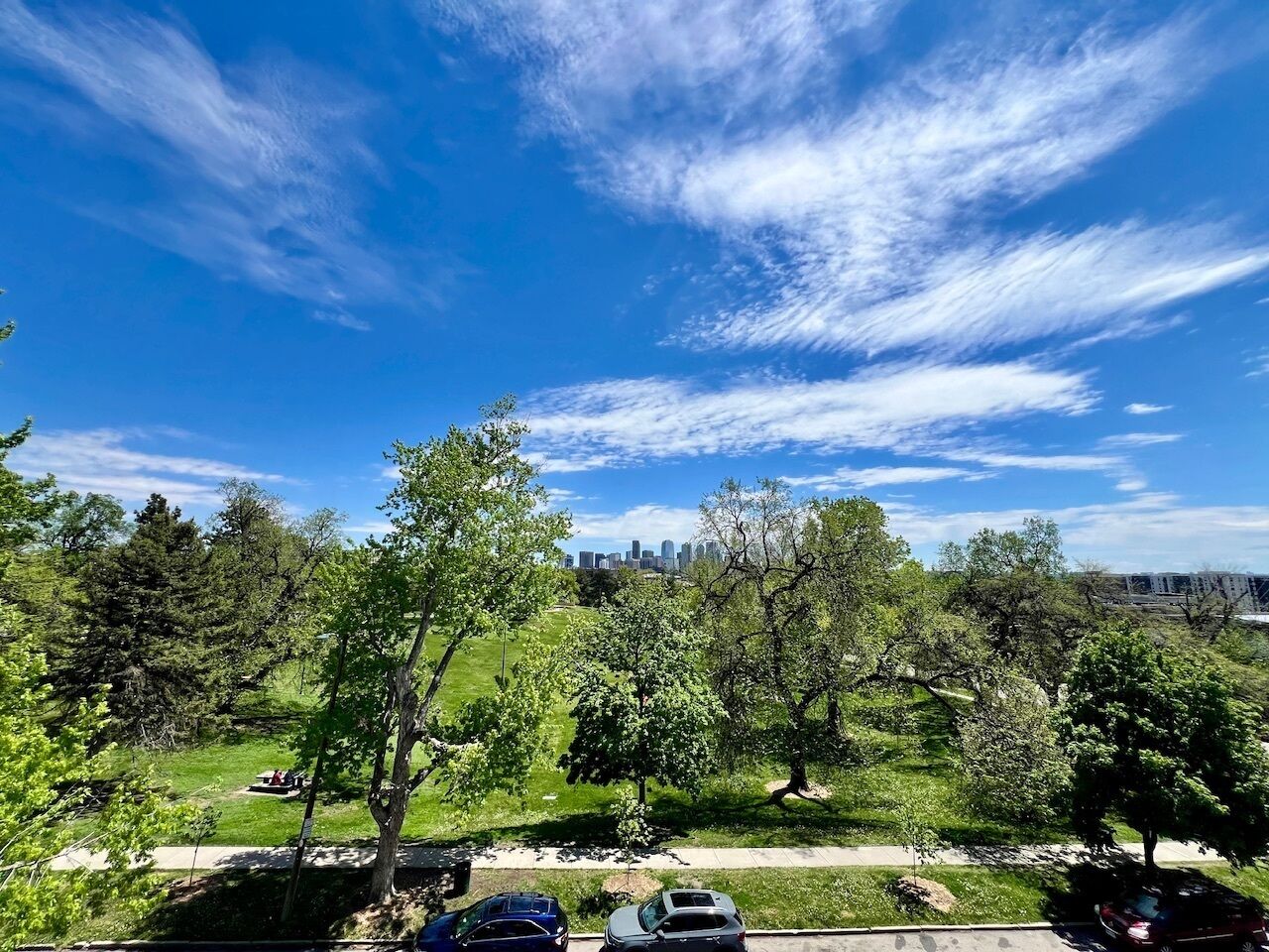 Un parco con alberi e uno skyline urbano sullo sfondo.