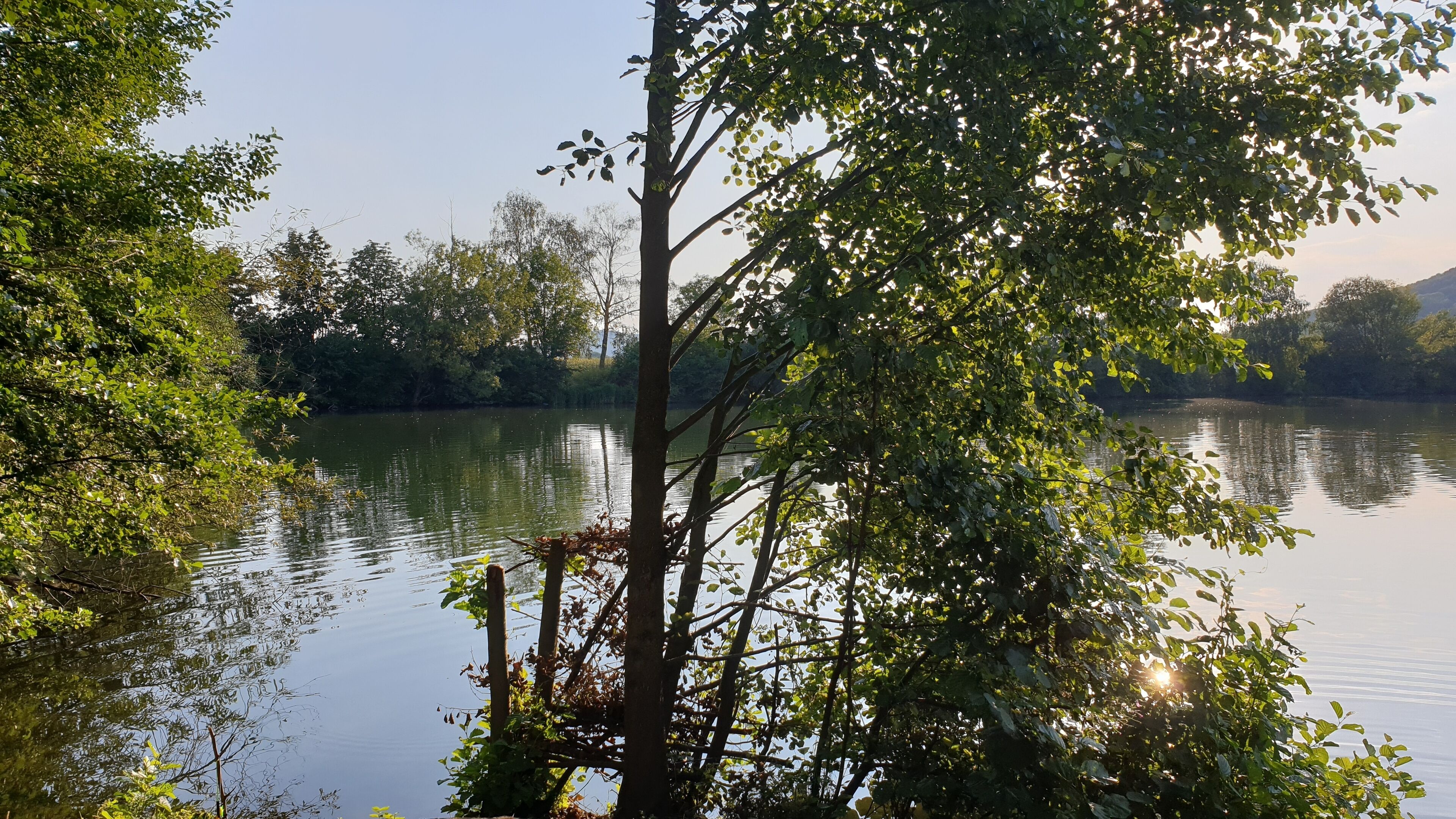 A calm river with dense foliage on both sides.