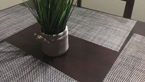 A potted plant on a table with a woven placemat. - PRIVATE DUPLEX #2 KING BED/Houston/Pasadena/ Hobby/Clear Lake/Galveston/ (Houston)
