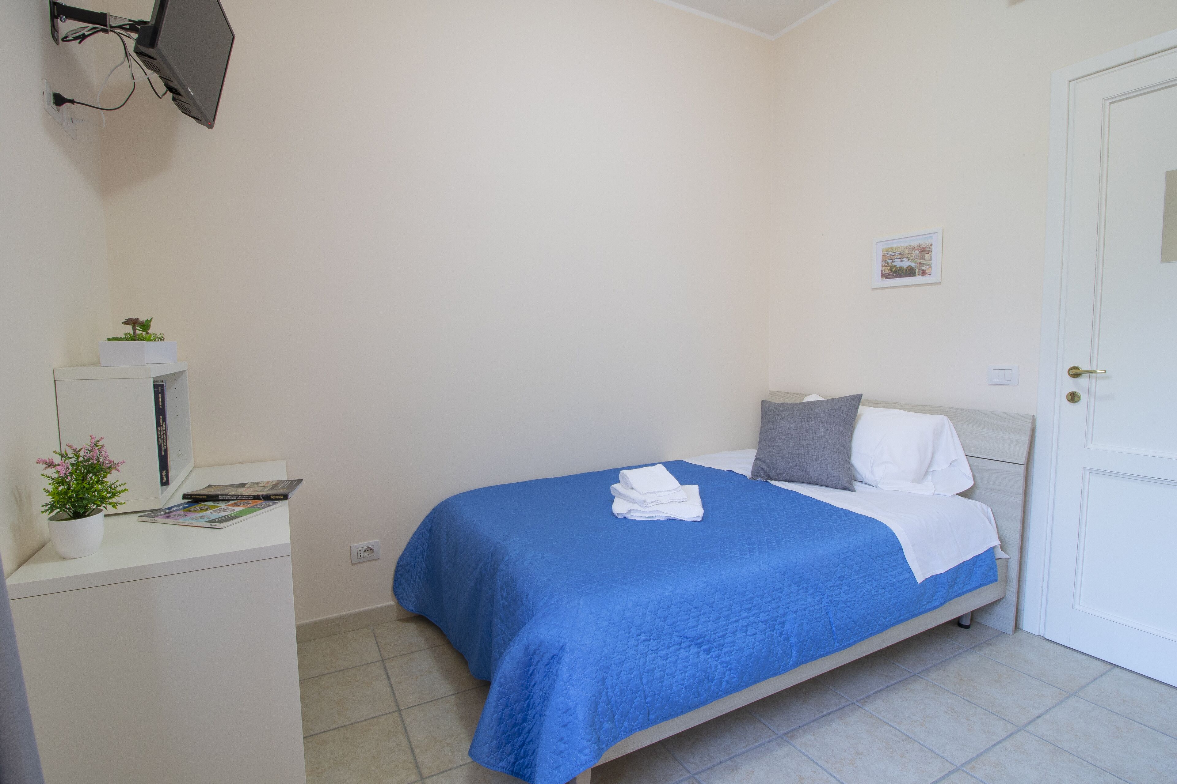 A bedroom with a bed, a bedside table with a plant, a wall-mounted TV, and a door.